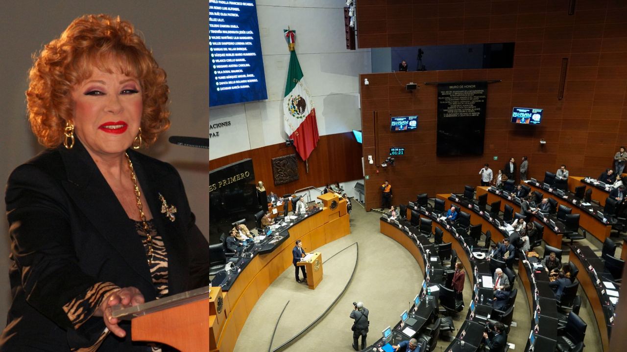 Senado Guarda Minuto De Silencio Y Aplausos Por Muerte De Silvia Pinal