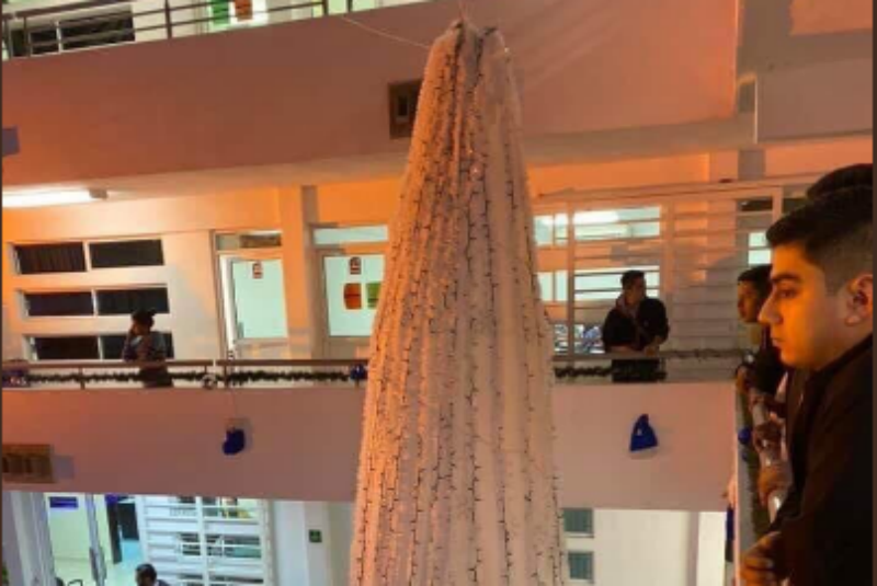 Alumnos viralizan árbol de navidad con apariencia de elote - 24 Horas