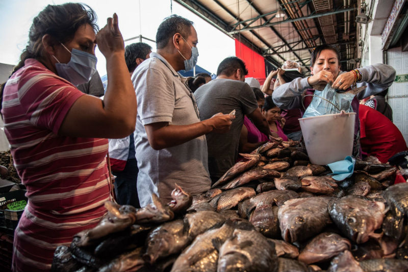 Retiran puestos de pescados y mariscos en La Viga ante contingencia - 24  Horas