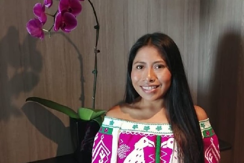 YALITZA NYT