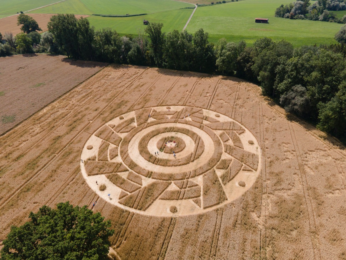 Misterioso círculo en campo de cultivo