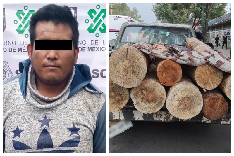 Detienen a hombre dedicado a la tala ilegal de árboles - 24 Horas
