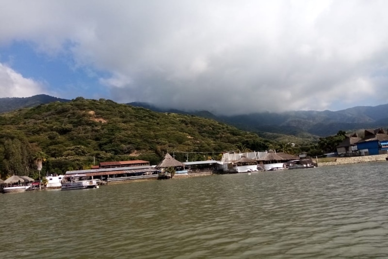 PC de Jalisco realiza la búsqueda de cocodrilos en el Lago de Chapala  (+video) - 24 Horas