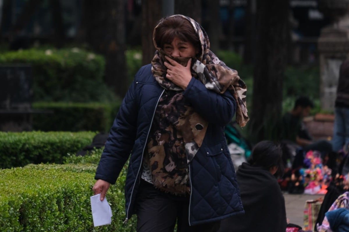 Activan Alerta Amarilla Por Bajas Temperaturas En Siete Alcaldías 24 Horas 