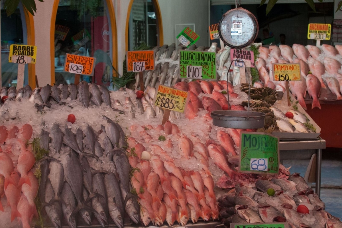 Garantizado abasto de pescados y mariscos para temporada de Cuaresma y  Semana Santa 2021 - 24 Horas