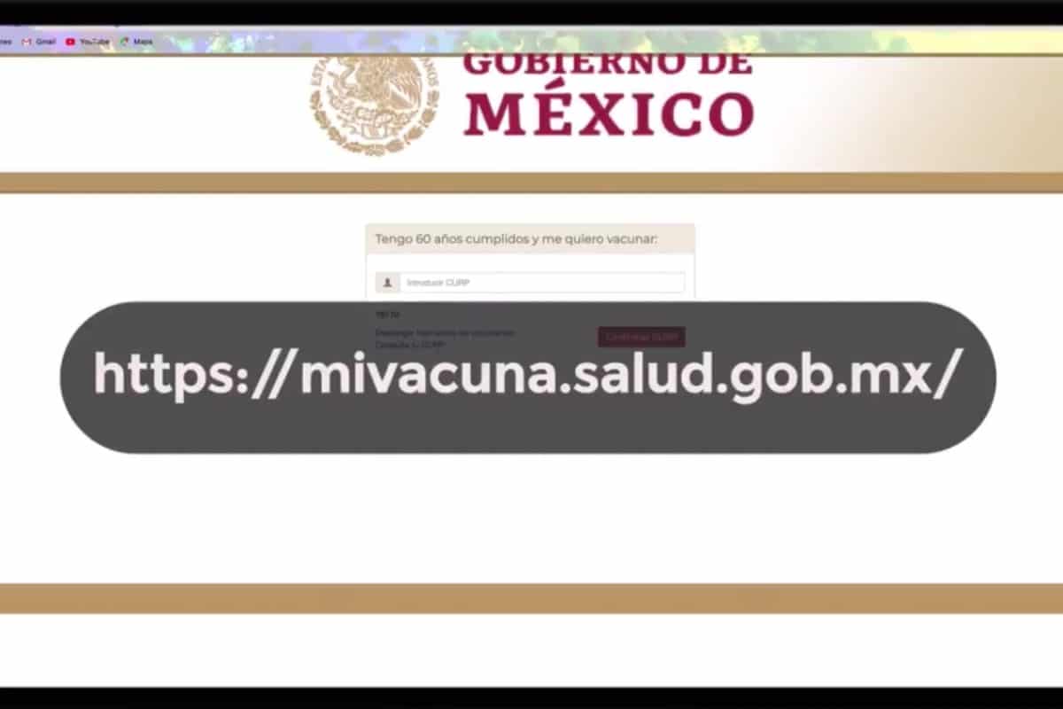 portal para registro de vacunas