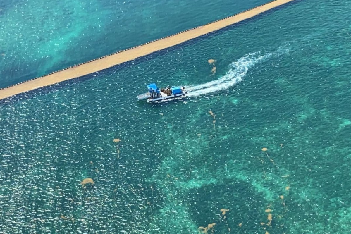 La intención es informar a la ciudadanía y visitantes de Quintana Roo sobre la presencia del alga.