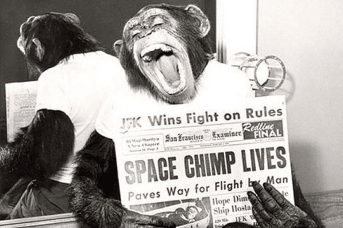 61 Años Atrás Se Envió El Primer Chimpancé Al Espacio - Lado.mx