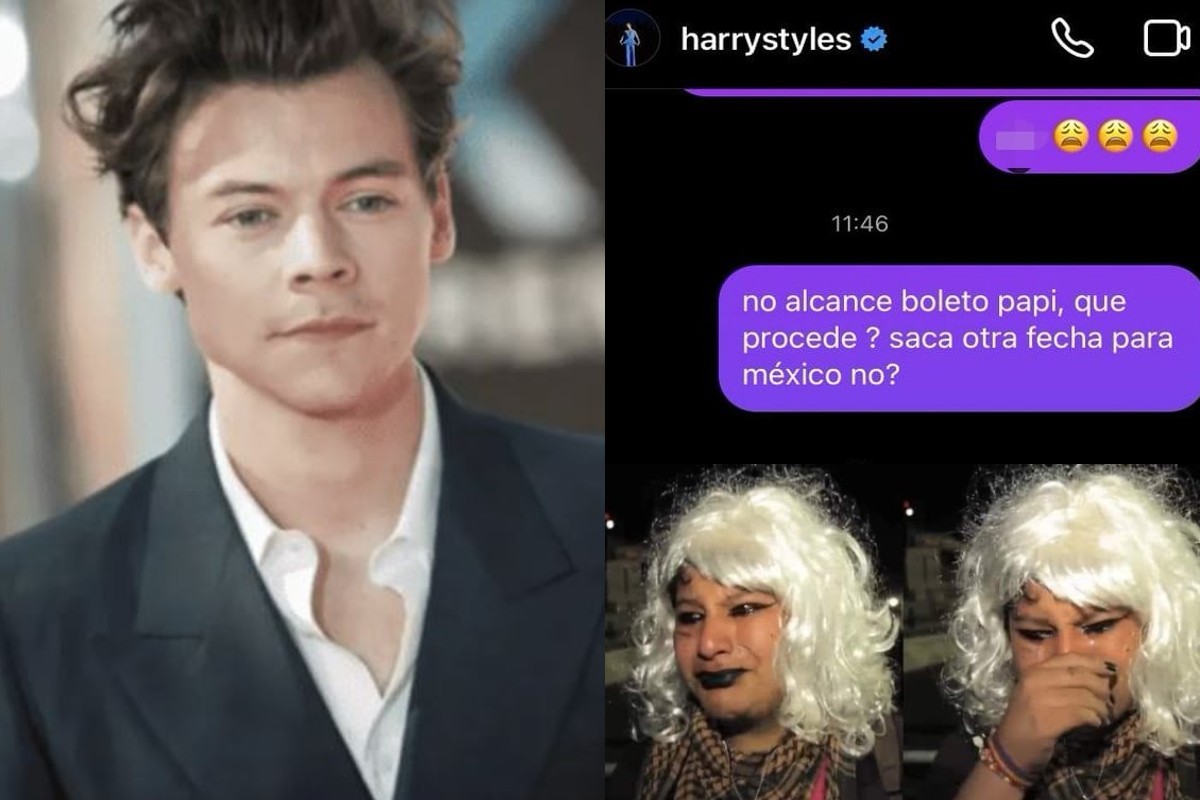 harry styles-memes