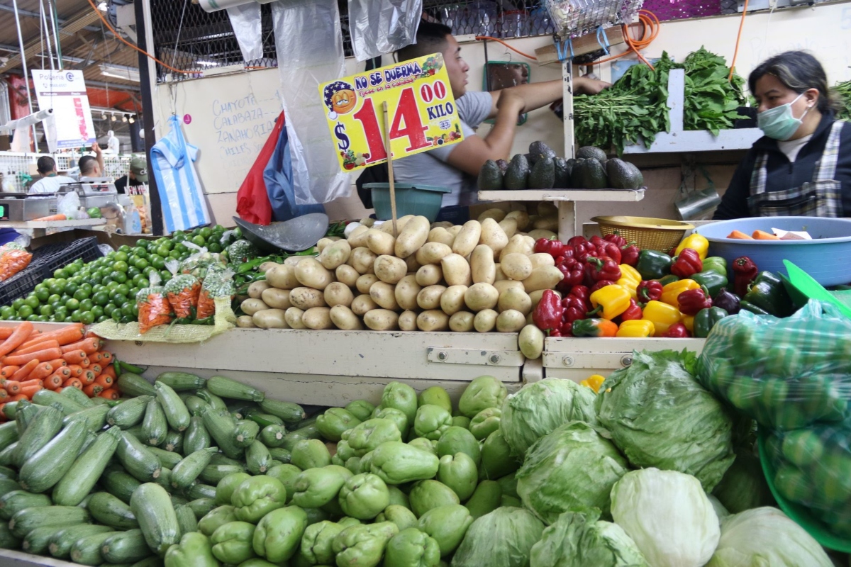 alimentos