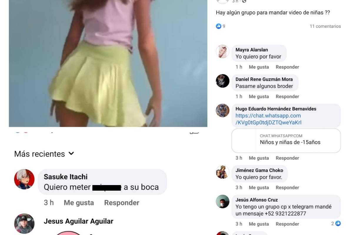 Facebook El Paraíso De Contenido Para Pedófilos Sin Castigo