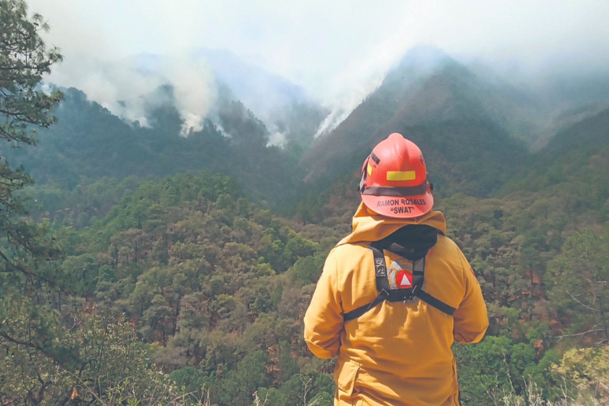 Fuera De Control Incendio Forestal En La Sierra De NL - 24 Horas