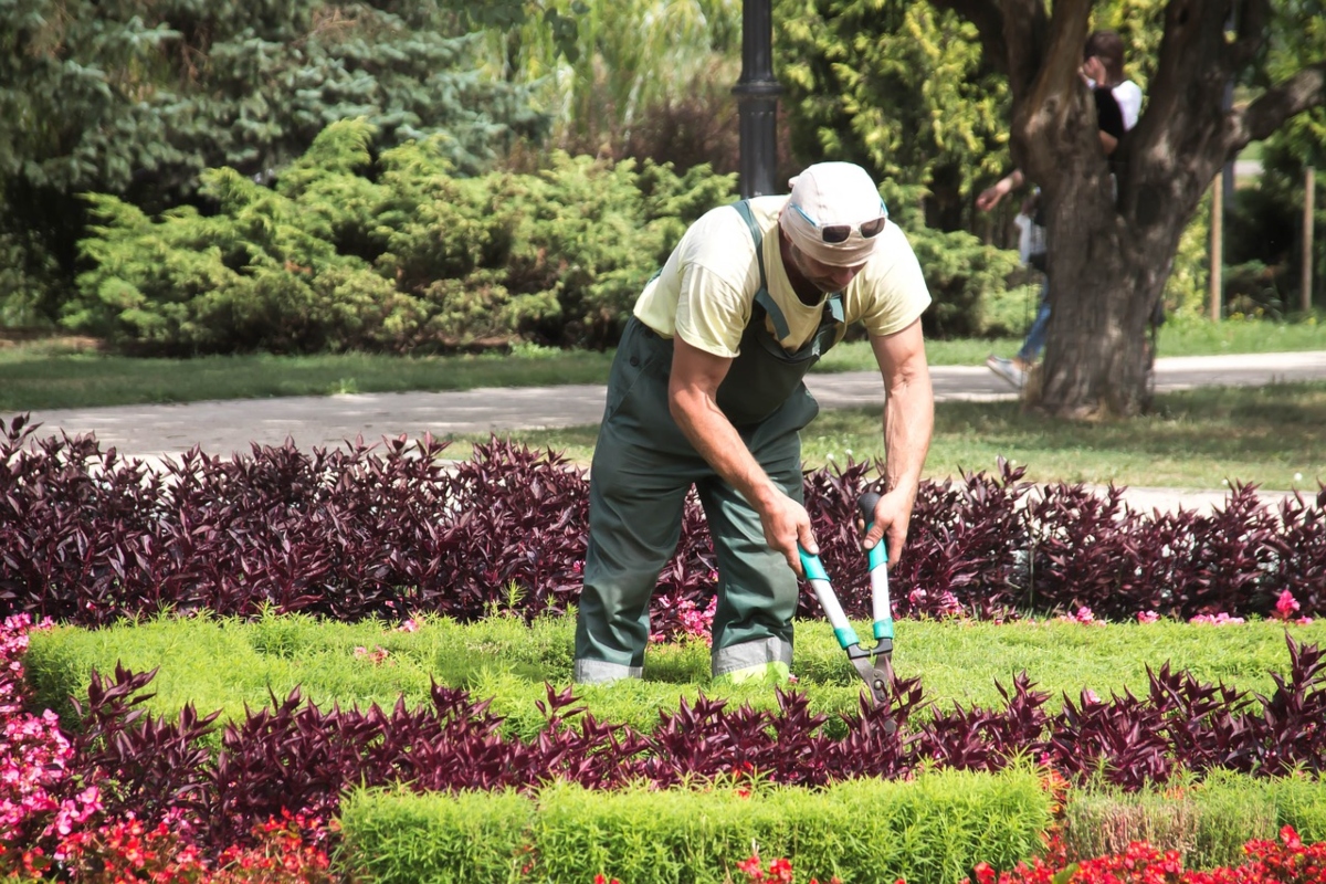 jardineros