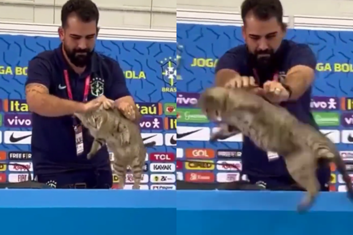 Foto:Captura de pantalla|¡Khe! La Confederación Brasileña de Futbol recibe denuncia tras suceso con el gato del Mundial