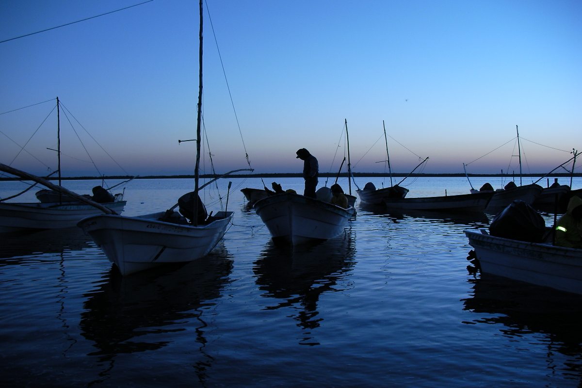 Quienes contravengan la medida serán sancionados conforme a Ley General de Pesca