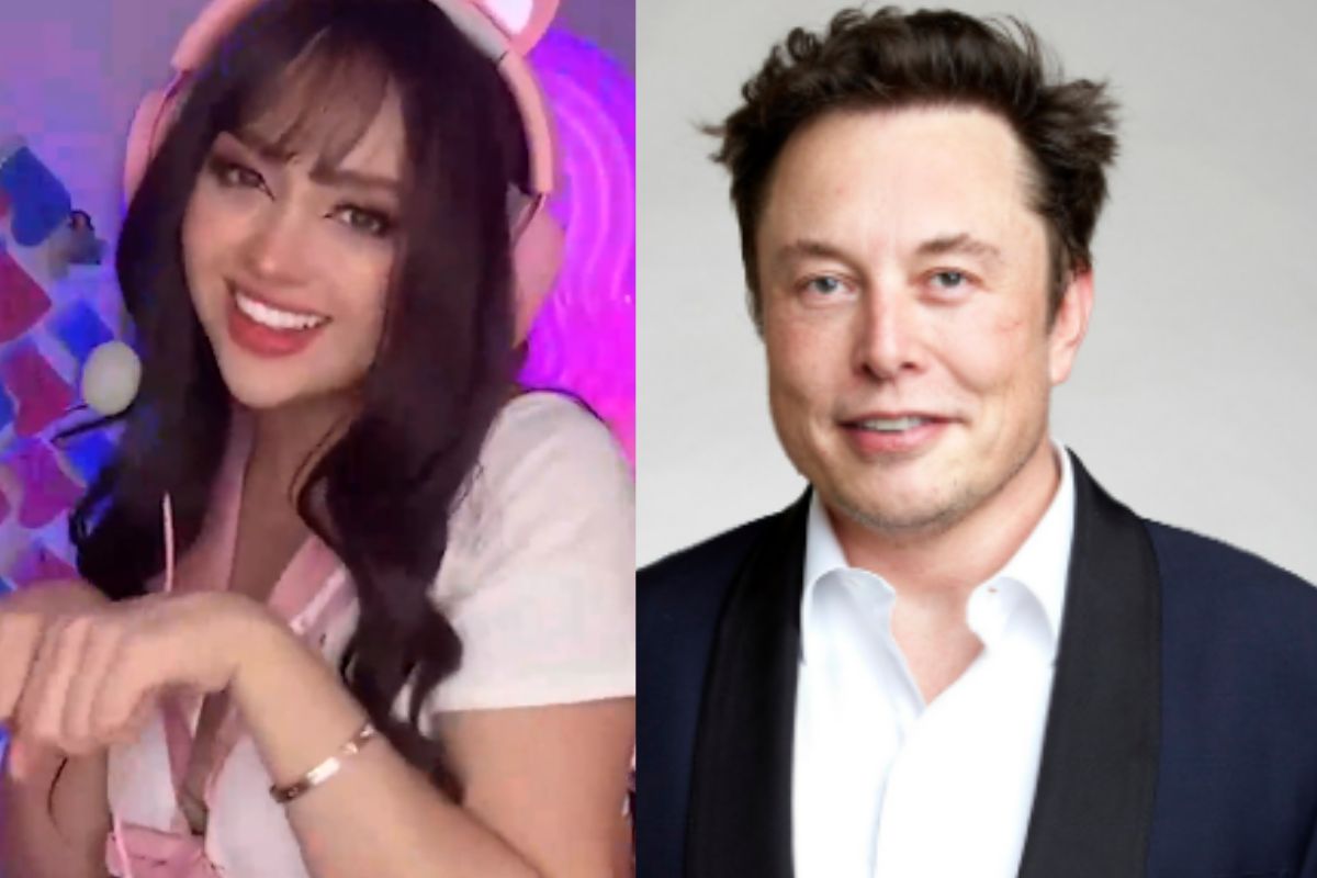 Quién es Ari Gameplays? La streamer mexicana a quien Elon Musk contactó en  Twitter - El Sol de México