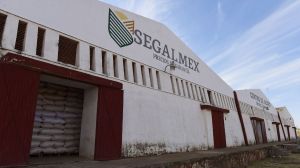 AMLO señaló que el exdirector de Segalmex fue engañado por el equipo que invitó a ser parte de la Secretaría.