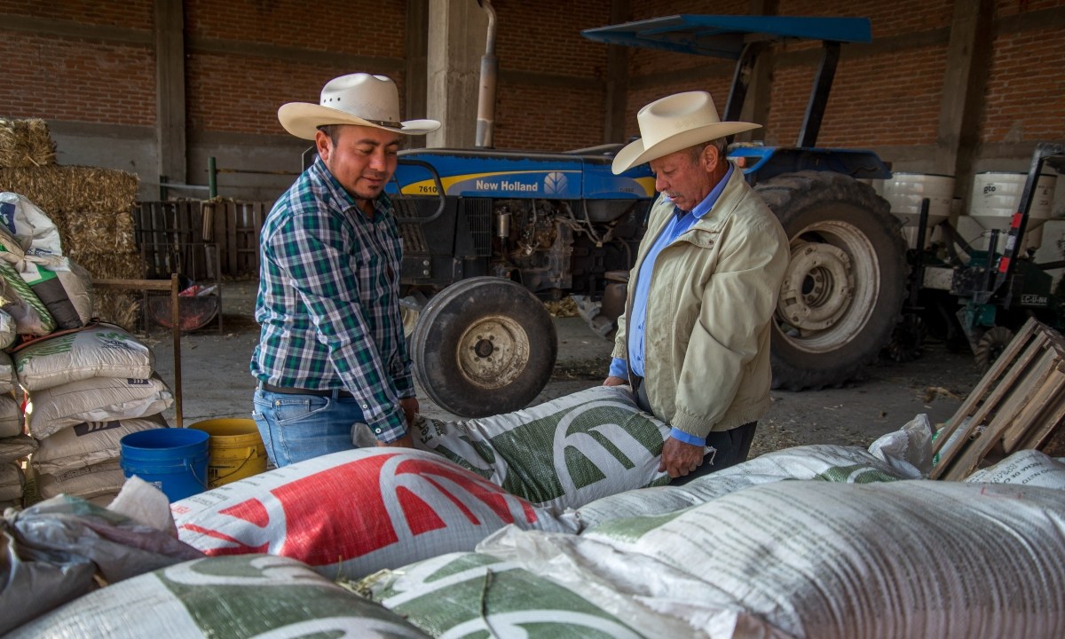 AGRICULTURA