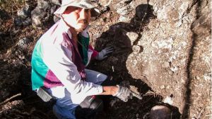 Quadratin | Mario Vergara Hernández, activista.