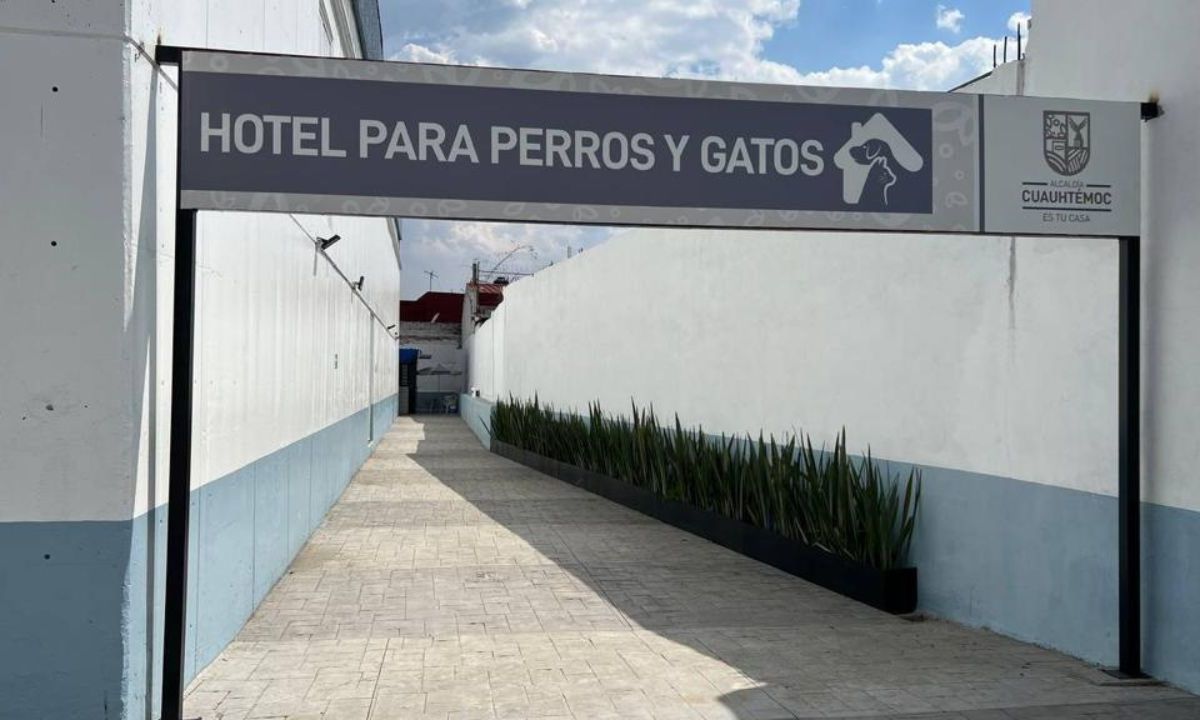 En la demarcación se construyó el Primer Hotel para Perros y Gatos Abandonados