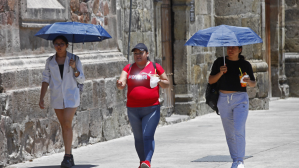 La Secretaría de Salud emitió una serie de recomendaciones ante las altas temperaturas registradas por la tercera ola de calor