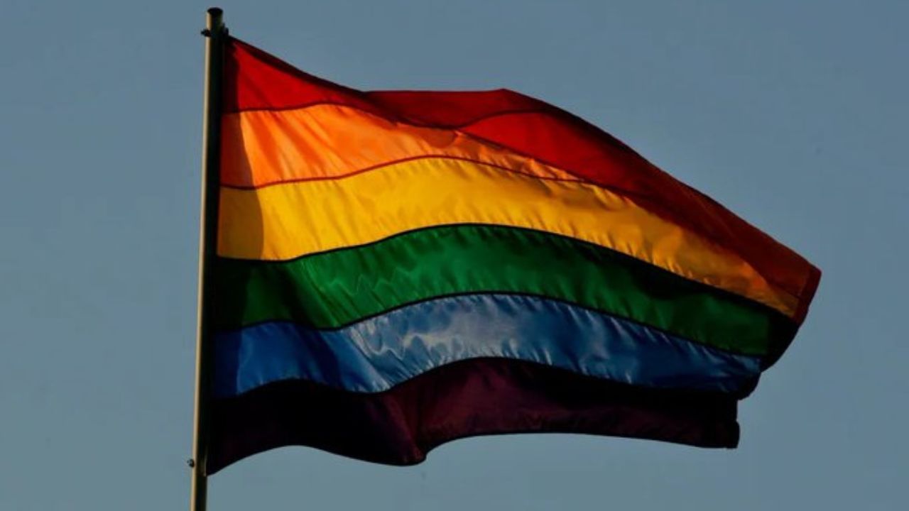 ¿cuáles Son Y Qué Significan Los Colores De La Bandera Del Orgullo Gay