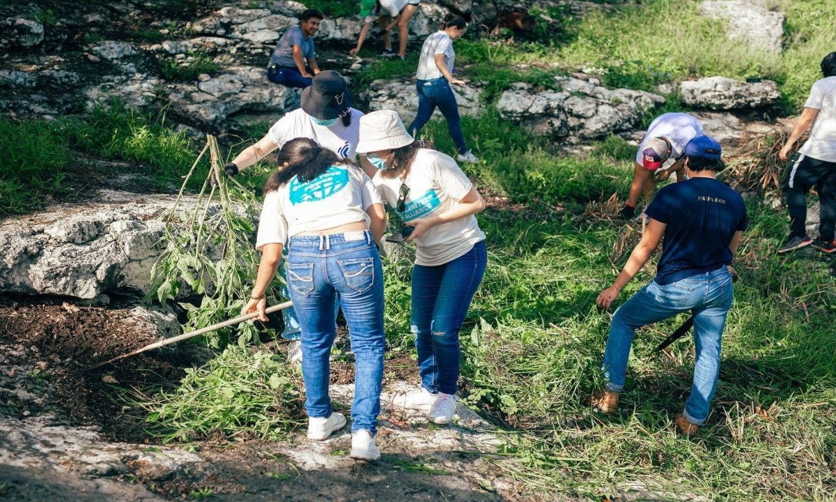 Polución 24 HORAS