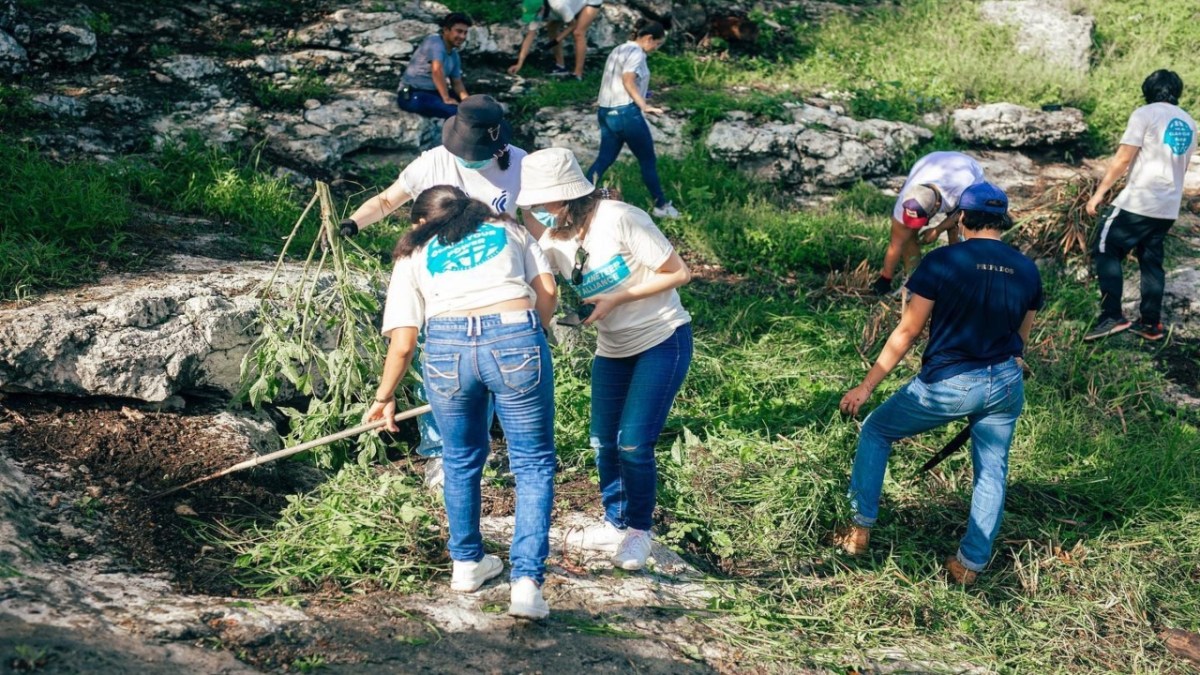 Polución 24 HORAS