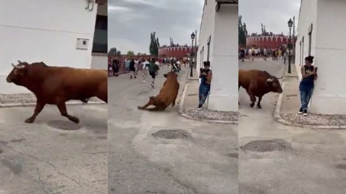 Mujer es corneada por un toro en España; se distrajo en su celular.