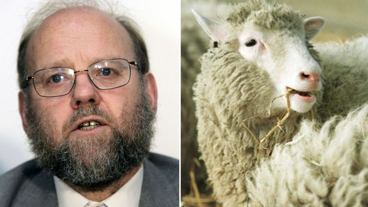 Foto: AFP|Muere el padre cientifico de la oveja Dolly, Ian Wilmut