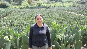 Trabajadores del campo contarán a hora con un salario digno, jornada laboral justa, días de descanso obligatorios, días de vacaciones y otras prestaciones