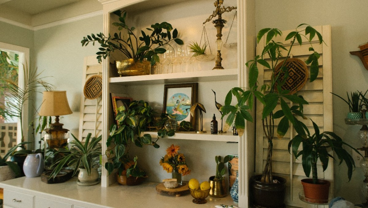 cuarto con muchas plantas