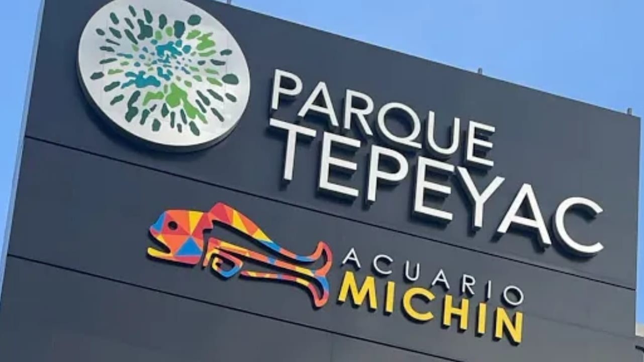 El Acuario Michin Cdmx Ya Abri Conoce Precios Y Horarios