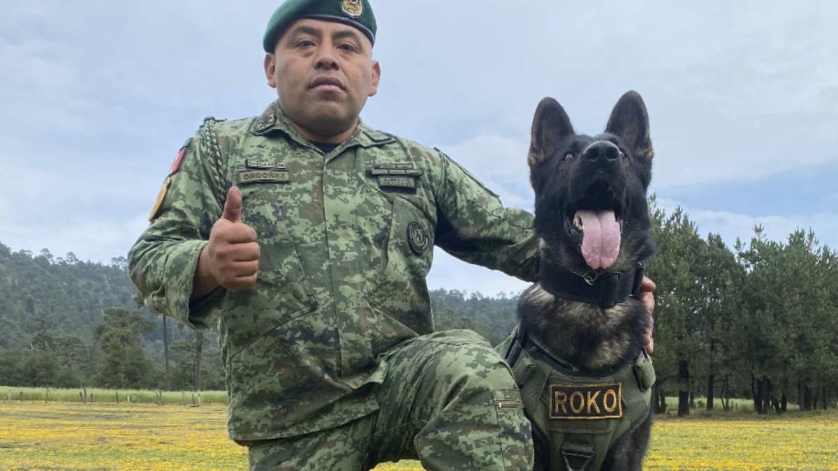 Dog Running CDMX cumple 15 años y para esta edición podrás participar con tu perrito y la compañía de los Sargentos Roko y Arkadas