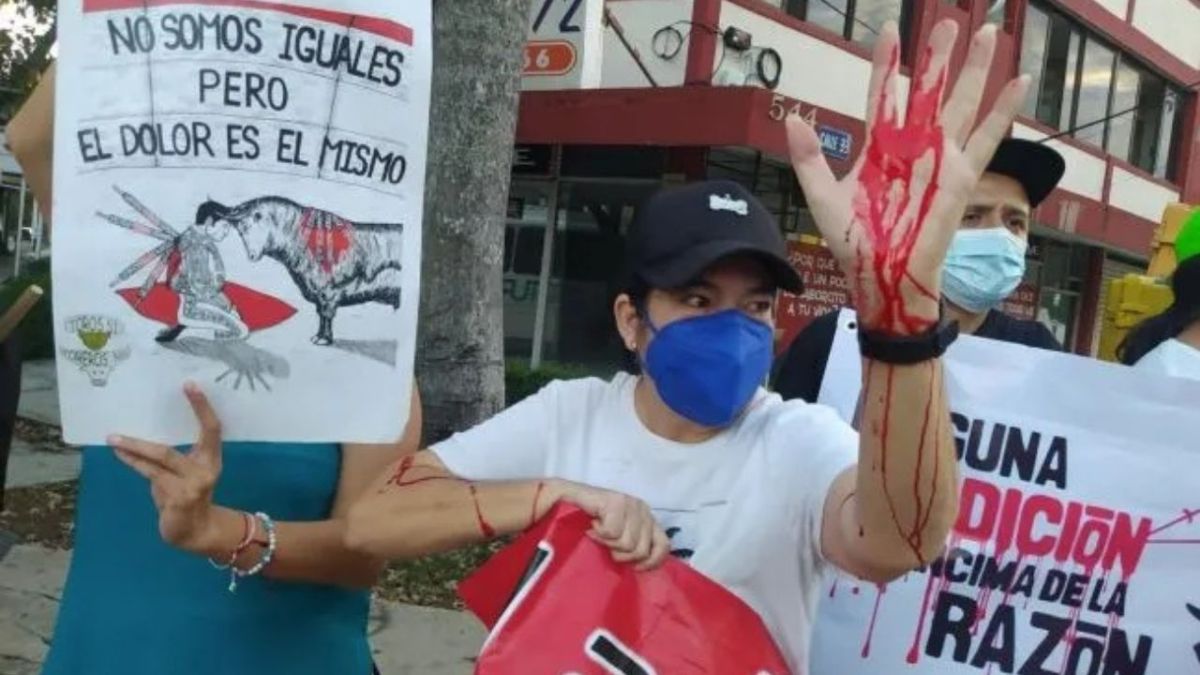 Esteban Abraham Macari, protagonizó un acto de maltrato animal; montado en un poni, pidió el voto