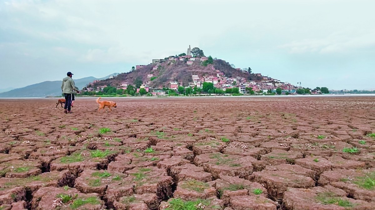 Conocido internacionalmente por el cine y la festividad por Día de Muertos, el lago de Pátzcuaro, en Michoacán, se seca en el exterior y en su profundidad