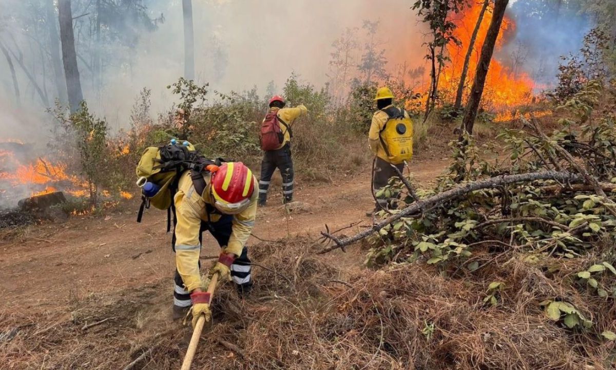 La Secretaría de Salud municipal de Guerrero informó que se contabilizaron más de siete mil casos de infecciones provocadas por el humo de incendios forestales