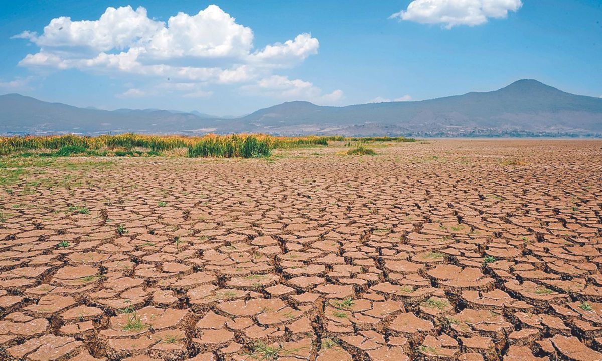 Proyecto. La Comisión de Recursos Hidráulicos, Agua Potable y Saneamiento aprobó la propuesta de cronograma para la nueva Ley de Aguas y cumplir con el mandato de la SCJN.