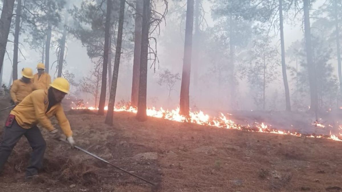 Estrategia. Más de 470 brigadistas intentan sofocar las llamas.