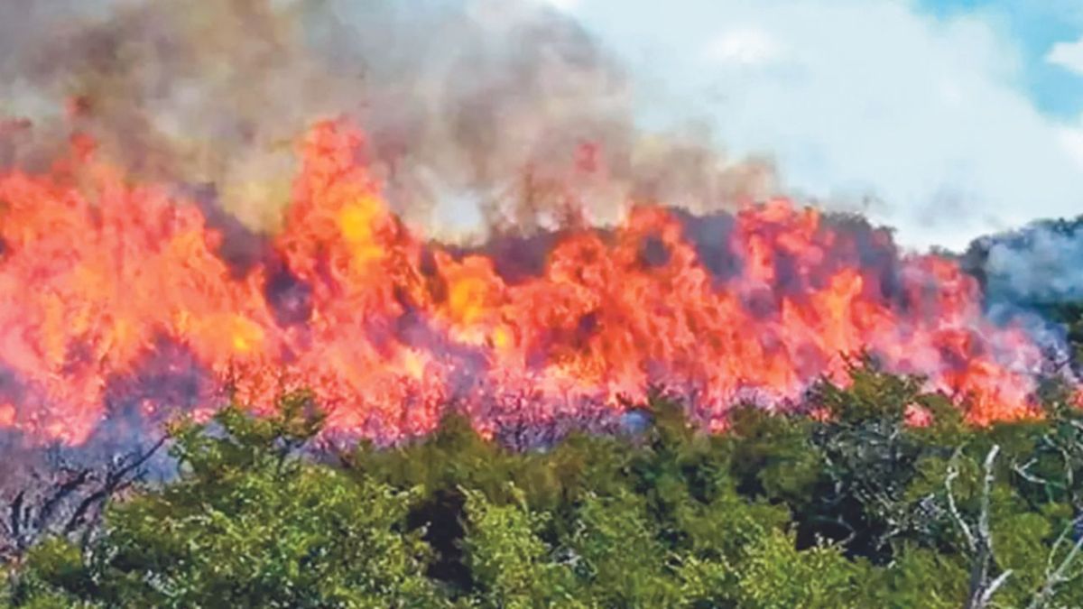 RIESGO. Chilpancingo. Protección Civil de Guerrero informó que en una semana, el fuego arrasó con 10 mil hectáreas, lo que pone al municipio en una grave situación.