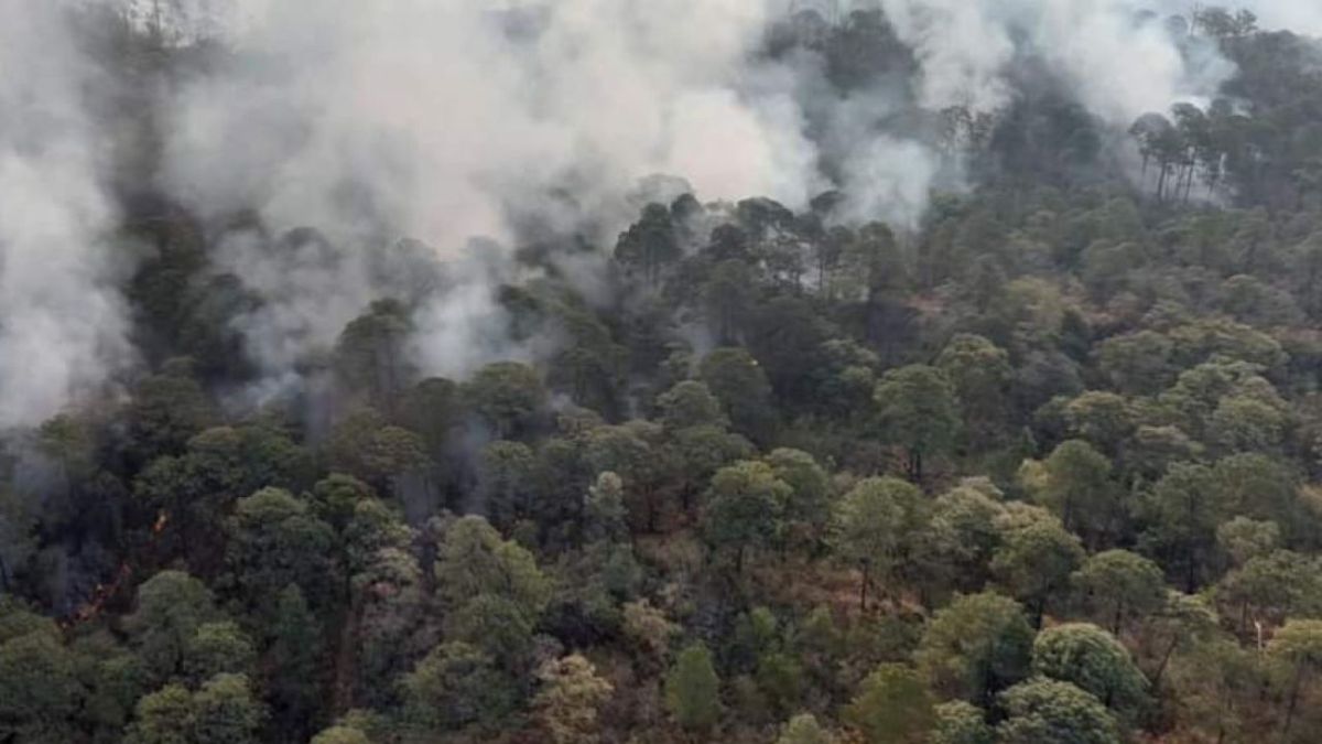 DAÑOS. En el Parque Nacional Uruapan, en Michoacán, los siniestros afectaron más de 400 hectáreas de bosque.