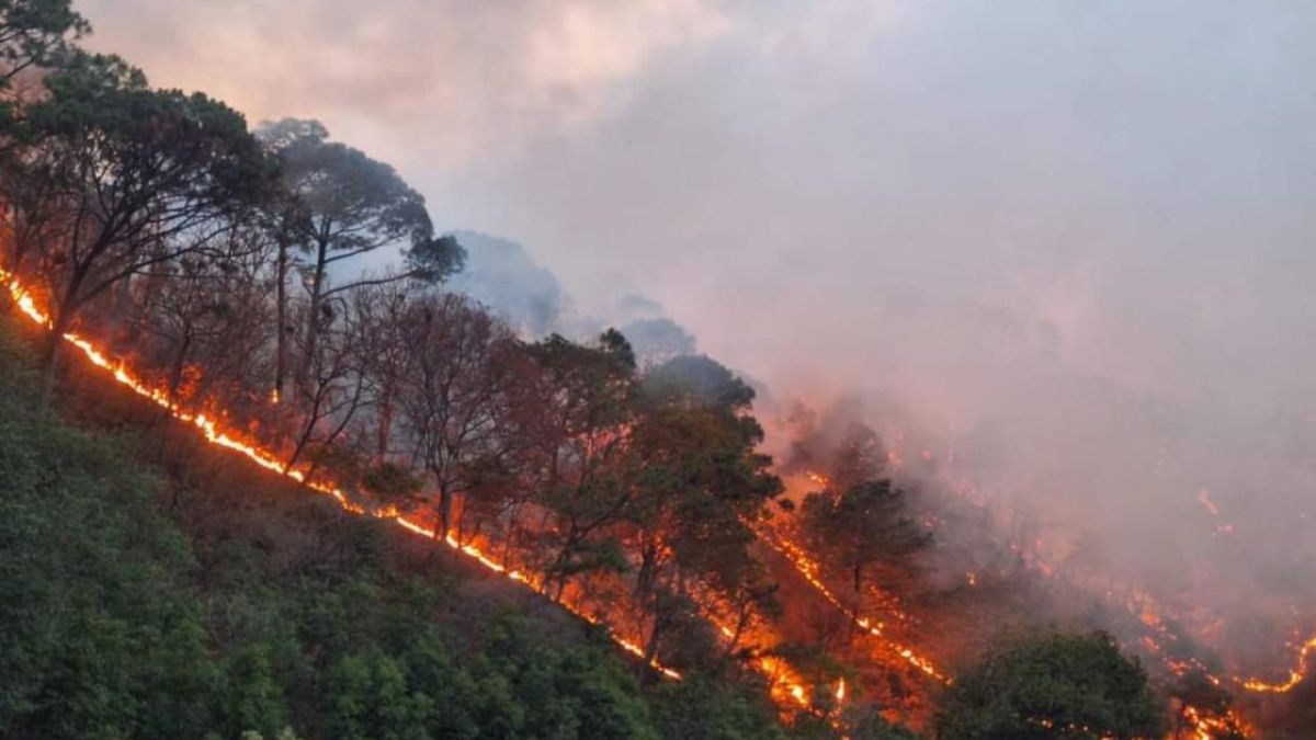 LABOR. Alrededor de 125 combatientes de los tres niveles de Gobierno participaron para sofocar el fuego en Mascota, Jalisco.