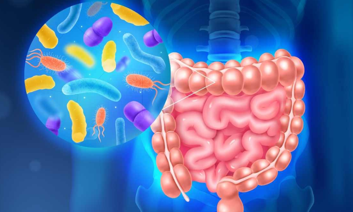 ¿Qué es la microbiota intestinal y cómo mejorarla?