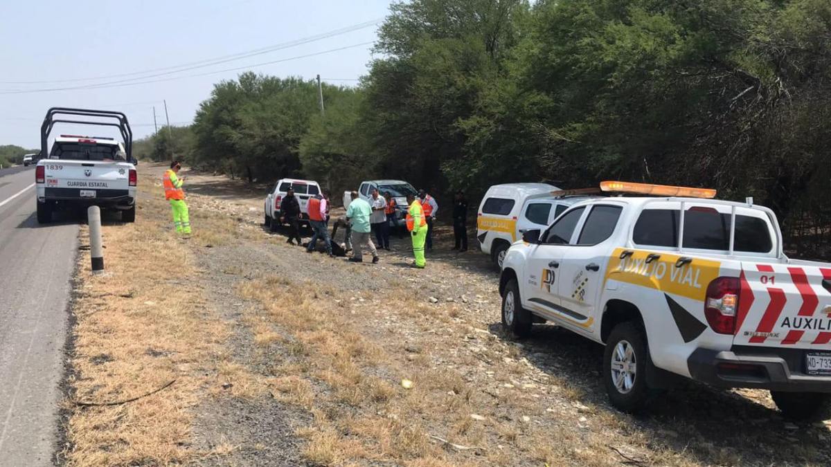 Autoridades del estado de Tamaulipas fueron alertados del hallazgo de un oso negro muerto en la Carretera Federal 83 Llera.