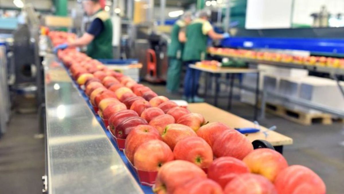 Crecen 12.2% exportaciones de agroalimentos