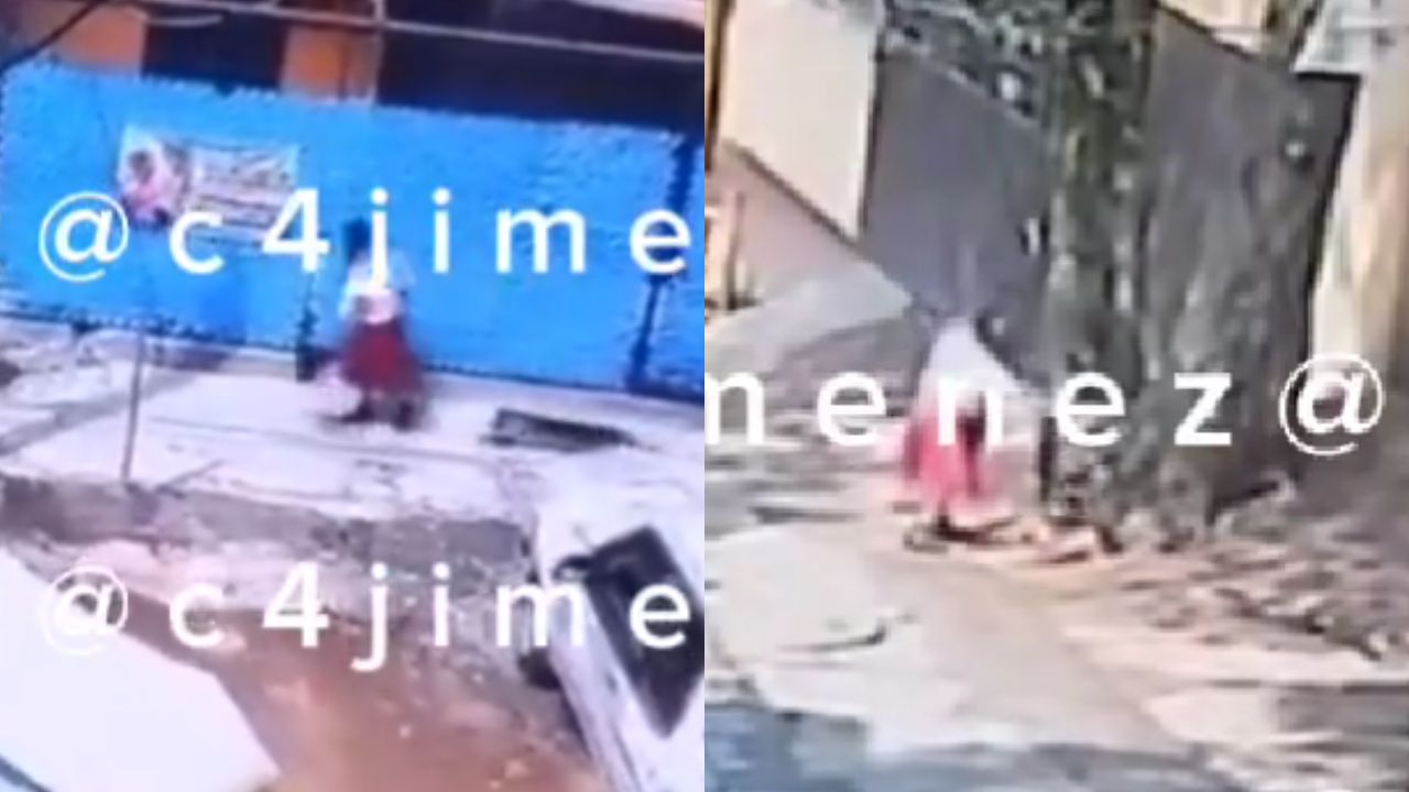 VIDEO: Mujer arrastra y abandona a perrito sin vida en calles de la ...