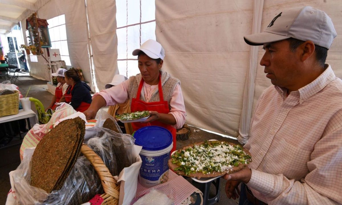 ¿Y los tacos papá y la salsita verde? Sequía hace estragos la producción de cilantro en México