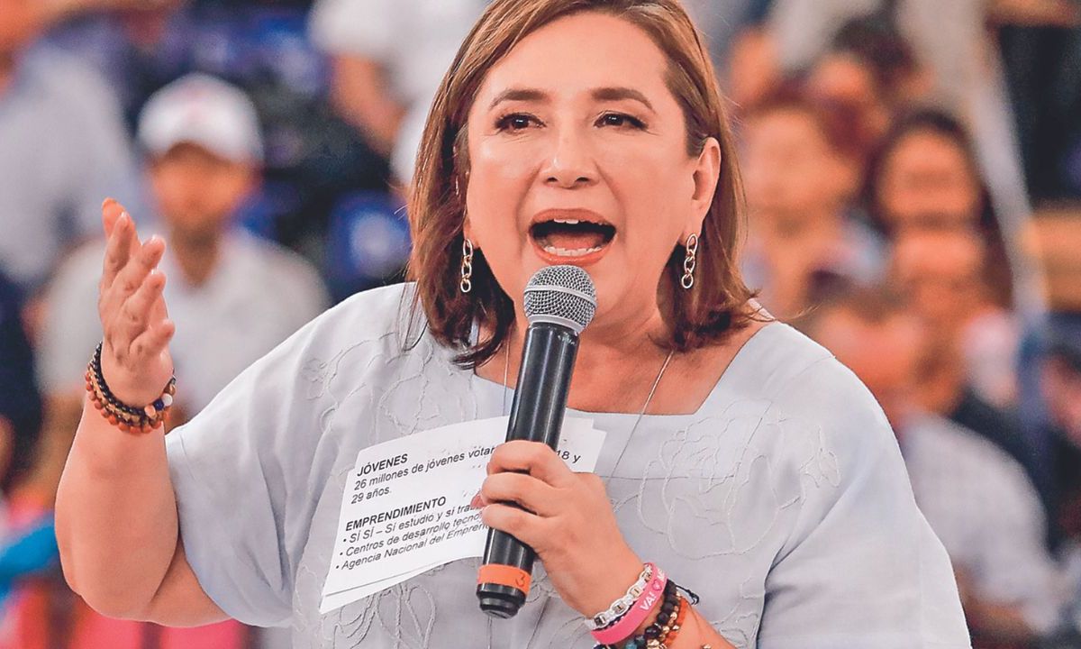 Castigo. La senadora dijo que no busca anular la elección, sino una sanción al Presidente.