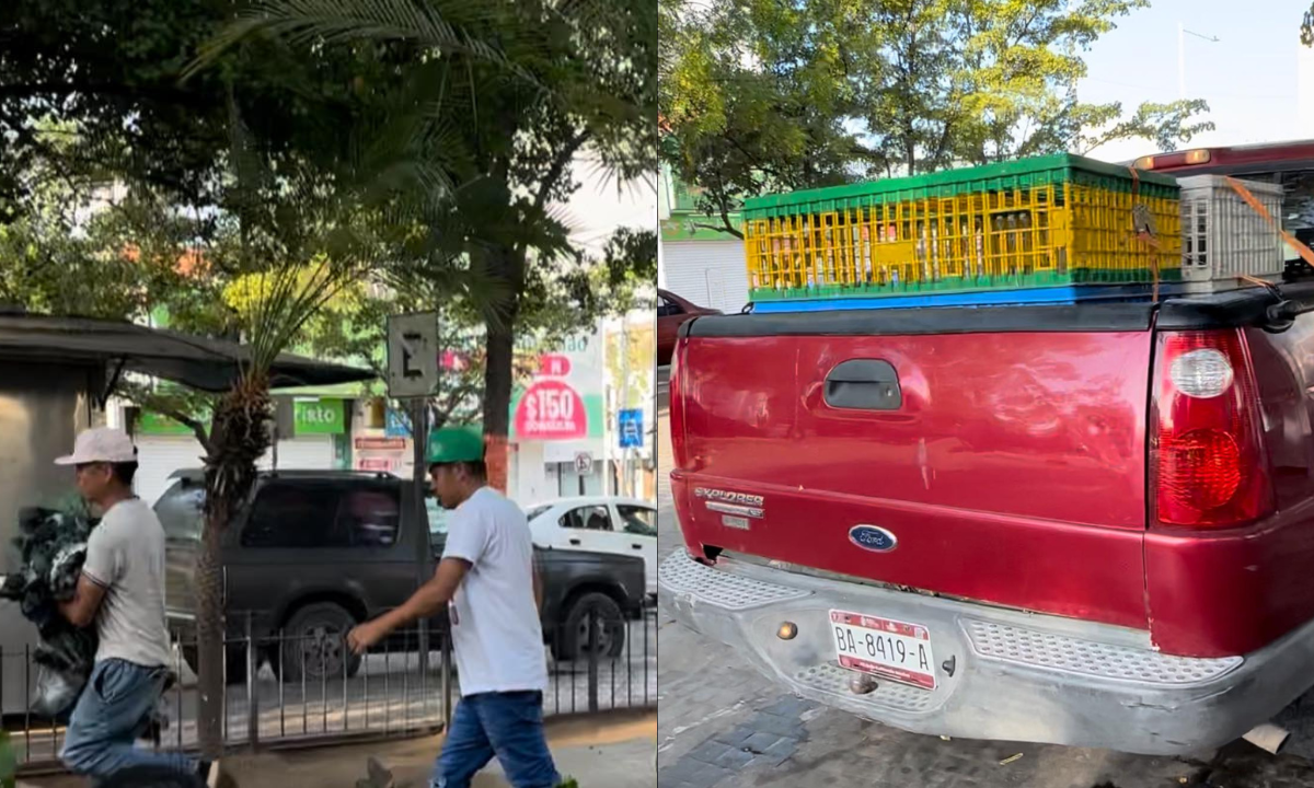 Robo de pichones en Culiacán