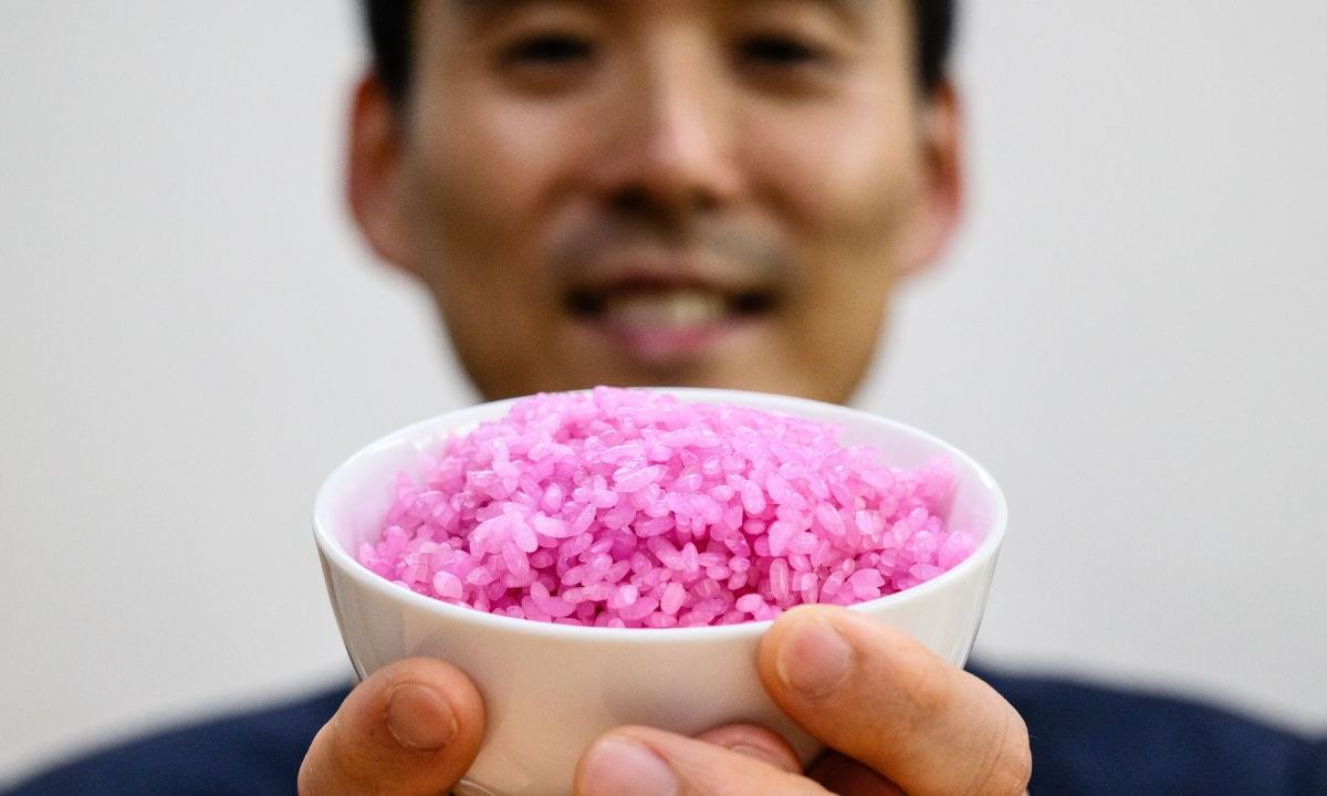 En un laboratorio de Seúl, un equipo de científicos surcoreanos inyecta células cultivadas de carne vacuna a granos individuales de arroz